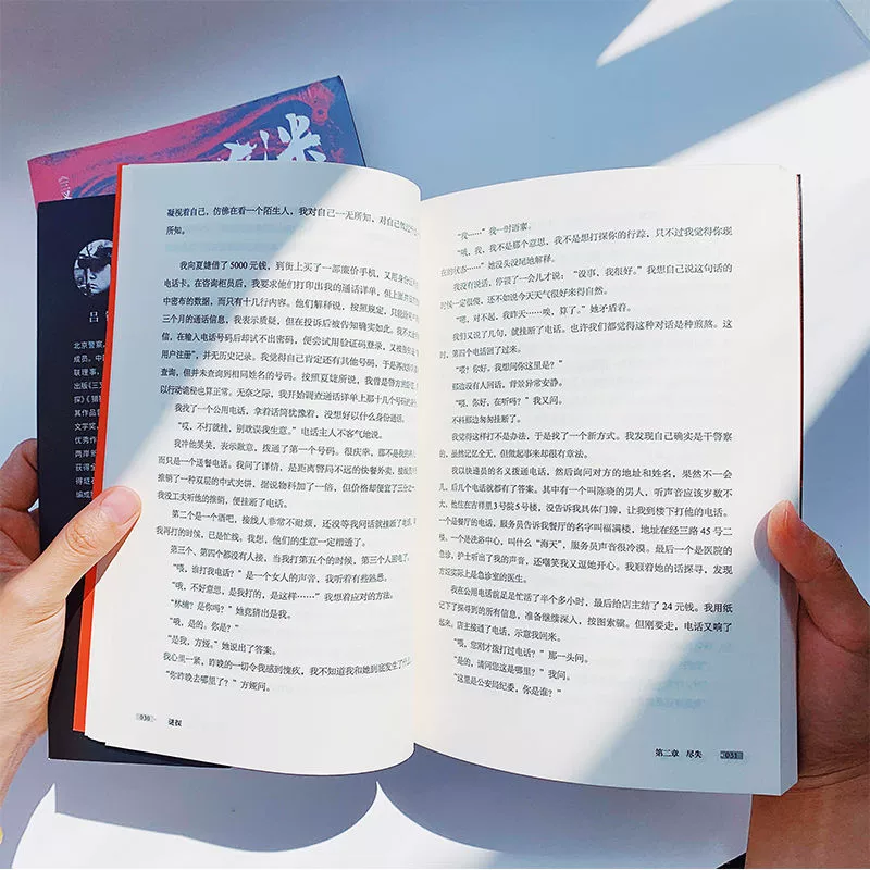 Нецензурированное оригинальное произведение сыщика-мистериоз Lu Zheng и рассказ о амнезийном полицейском под прикрытием, раскрывающем свое дело.