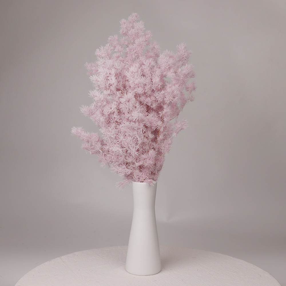 Pino Penglai flor eterna Navidad Pino preservado flor seca ramo Yunnan flor decoración del hogar Accesorios de tiro