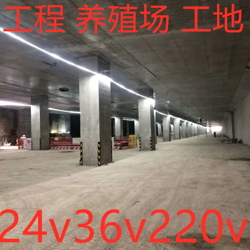 led灯带低压24v36v户外亮化隧道车库矿井工程地下室防水照明100米