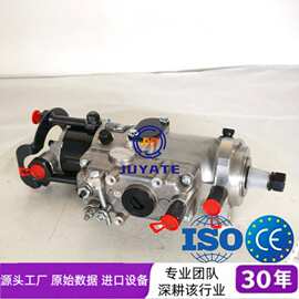 德尔福DP310喷油泵9520A416GOE2644C345适配珀金斯工程机械柴油泵