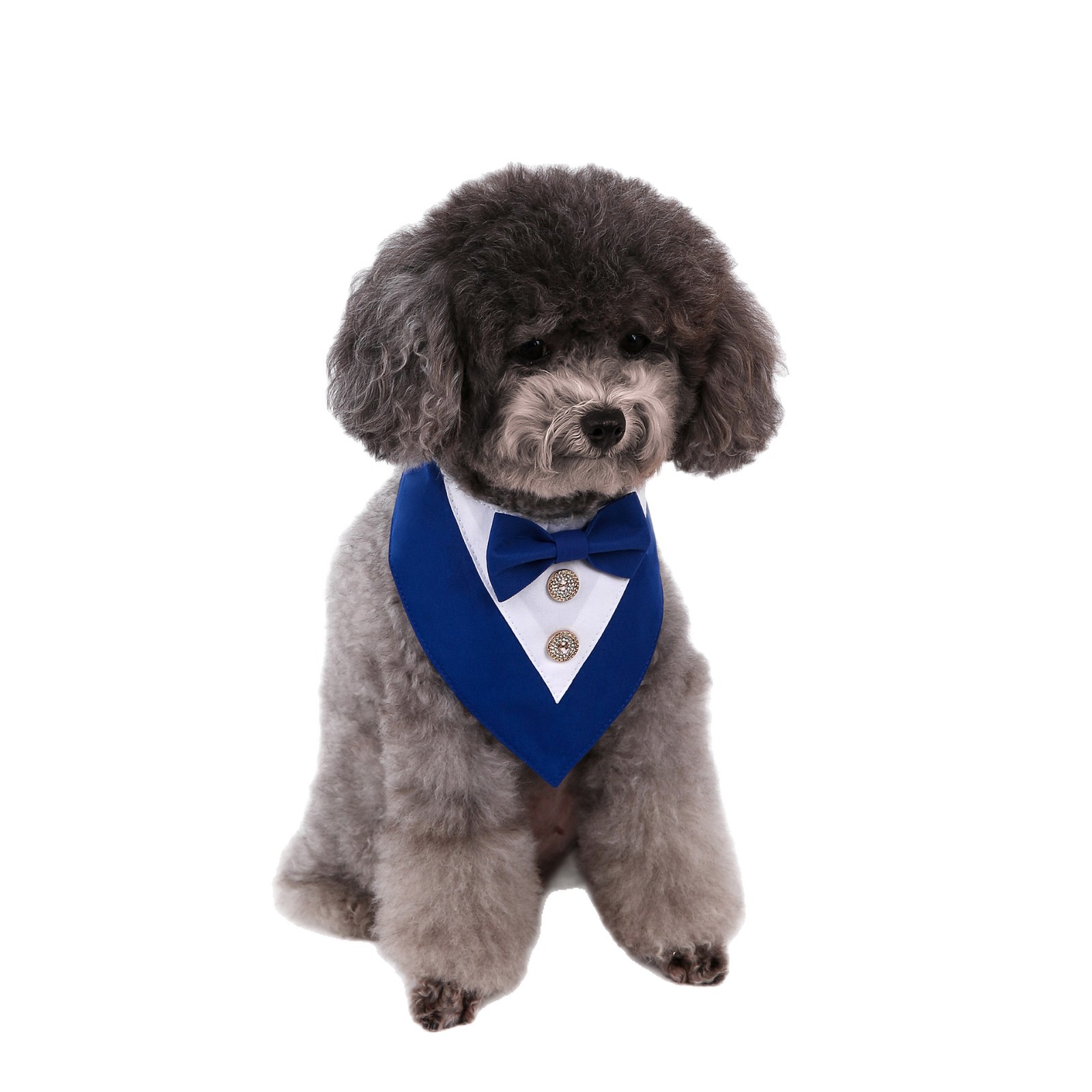 Navidad Año Nuevo Spot transfronterizo boda británica trajes toallas para mascotas bufandas perros velcro toallas para mascotas triángulos