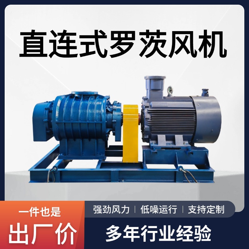 功率大运转平稳直连式罗茨风机污水处理水产养殖增氧机高压风机