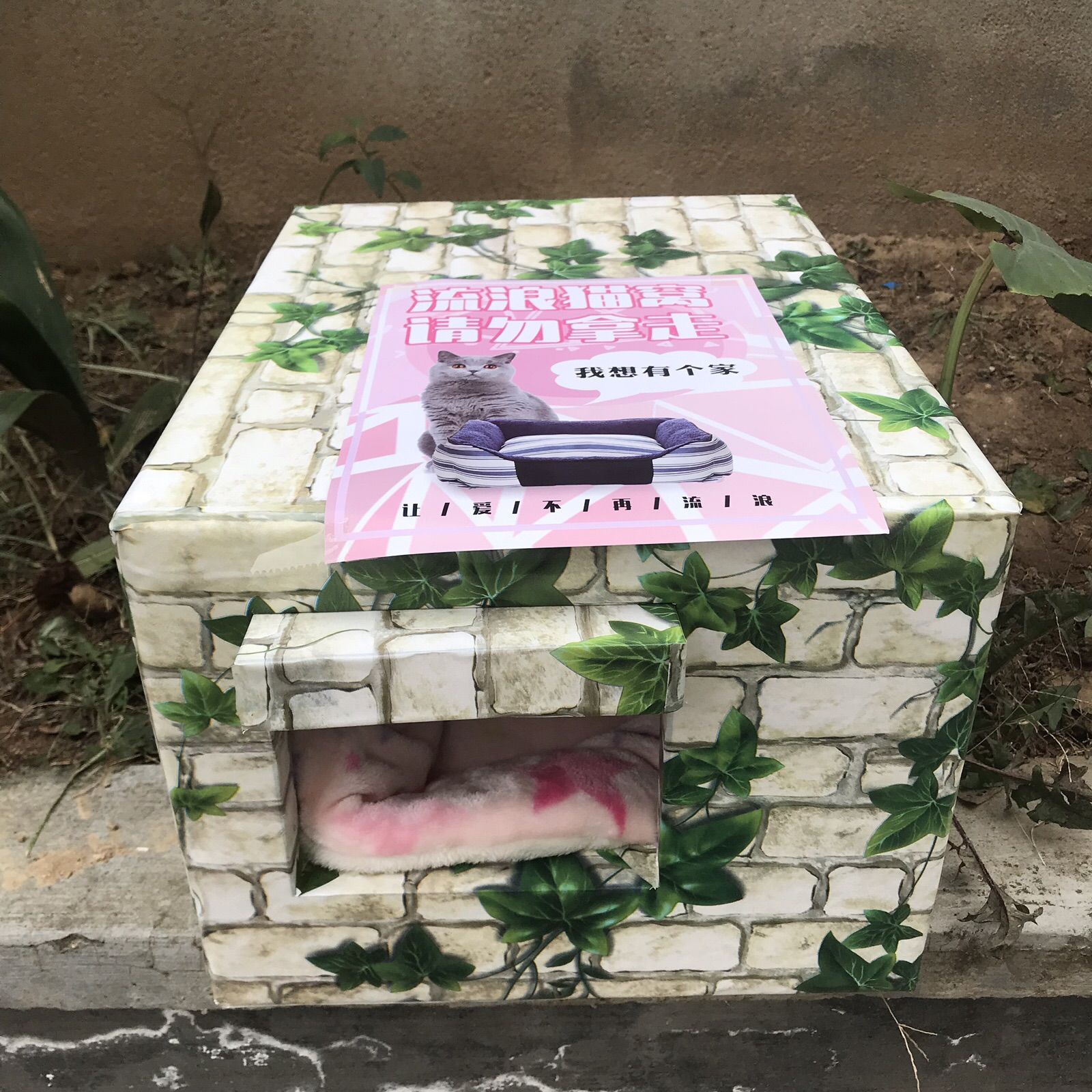 두꺼운 고양이 패드가 있는 녹색 잎 벽돌, 사각형 구멍(문 처마 포함)
