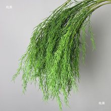 �¿��c�Gֲ���ĵ�픻���Y�廨��ˇ�J���ݽ����G�~�ٻ�����