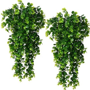 Cross-Border Artificial Rattan Round Leaf Eucalyptus Wall Hanging Simulated Green Plant Fake Hanging Plant Vine Home Decoration Hanging Orchid