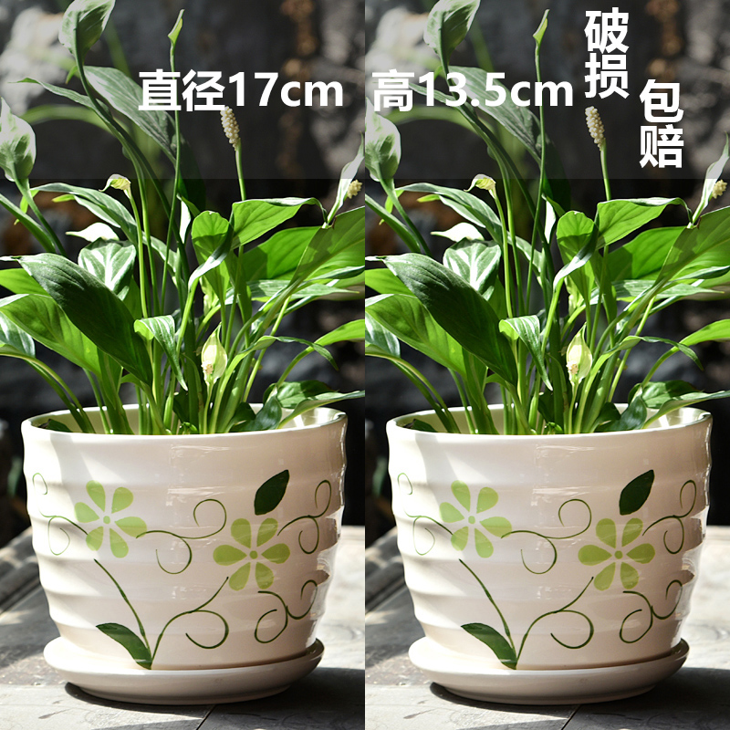 도자기 - 봄이 가득한 대형 2개 세트