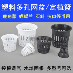 プラスチックの穴の多い網のたらいは根の蘭の植木鉢の胡蝶の蘭の育苗の鹿の角のシダの通気のたらいの水を育成してかごの根のたらいを植えます。