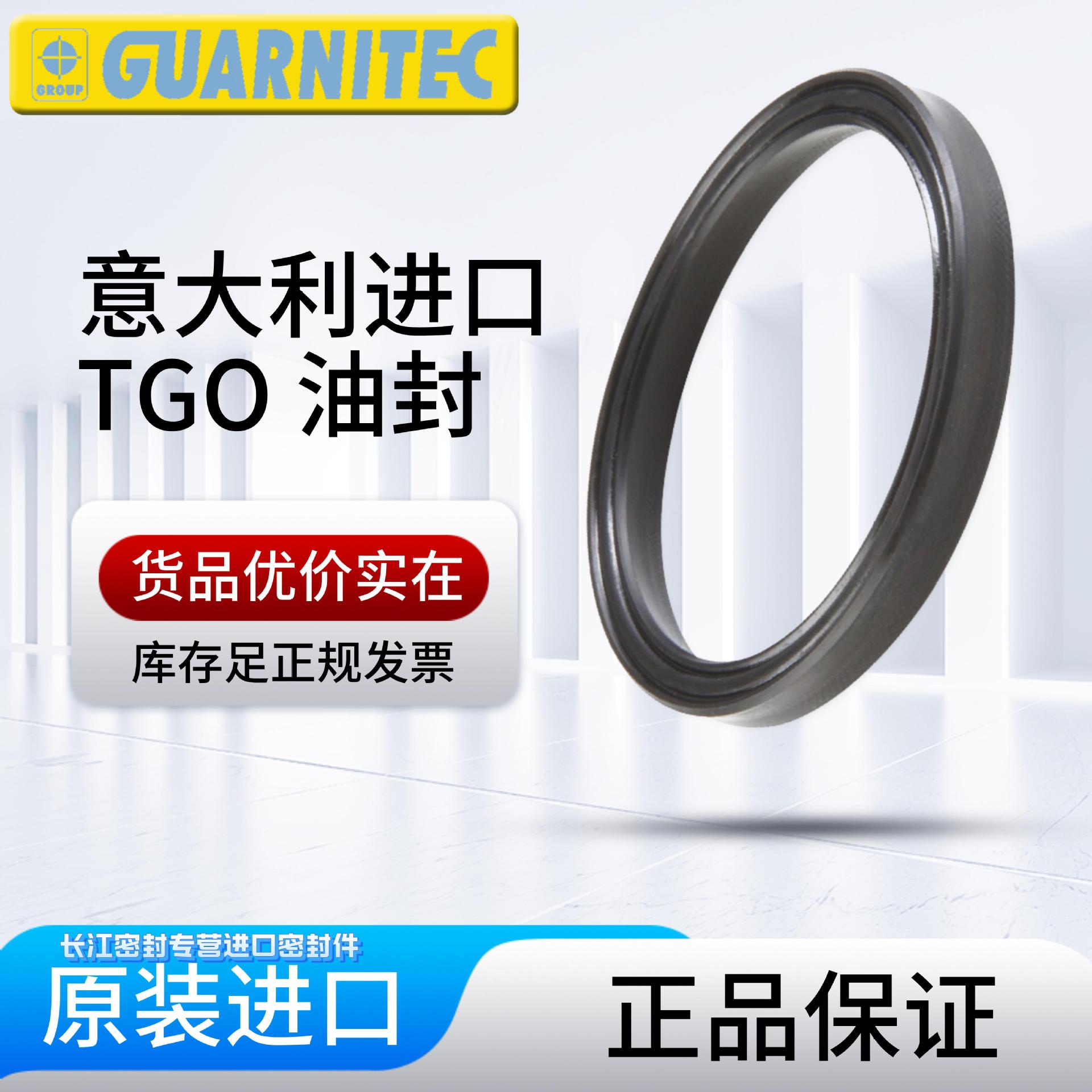 S8型夹布油封意大利TECNOTEX TGO密封圈 进口件 注塑机夹布油封