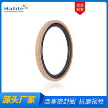 ӢHallite T54ܷȦ RȦ  PTFEܷȦ ҺCܷȦ