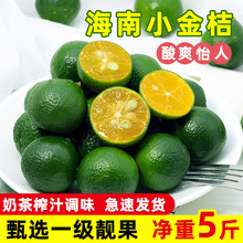 ����С����̲�ꌣ����ۮ���������r��Ƥ����������������]