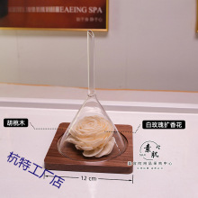 ����ľ����©���㹤����޹����չ��ԇ�㲣������spa����U����
