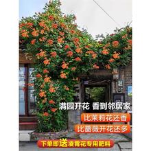 �ͺ��������̨�����Ϙ��ļ��������̻������������ٴ�������ֲ��