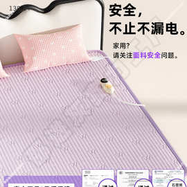 2025年新款电热毯双人单人家用棉质双控2人石墨烯旗舰店