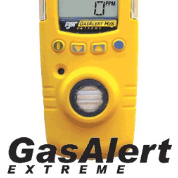 BW便携式硫化氢检测仪 GAXT-H-DL 硫化氢检测仪 加拿大气体检测仪