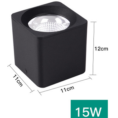 15w white light [6000k] black shell