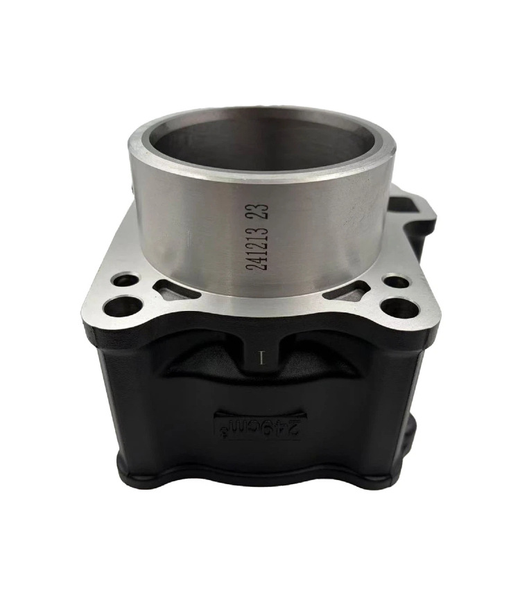 Cross-Border Applicable Parts for Cfmoto Cf250Nk/Cf250-A/250Sr Cylinder Assembly, Middle Cylinder Manufacturer, Automotive and Motorcycle Parts