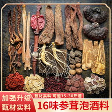 泡酒药材男药酒配方的材料中灵芝人参鹿茸组合泡酒料