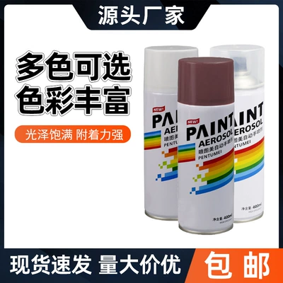 Anti-Rust Special Self-Painting Black White Metal Paint Furniture Wood Anti-Corrosion Primer Railing Renovation Paint Manufacturer