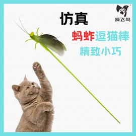 猫猫玩具;面具;圣诞树