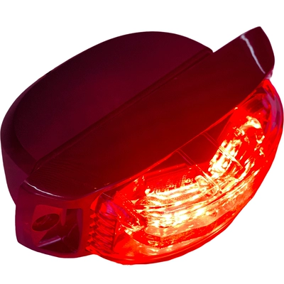 6Led Ice Blue Rearview Mirror Dönmə işıqları