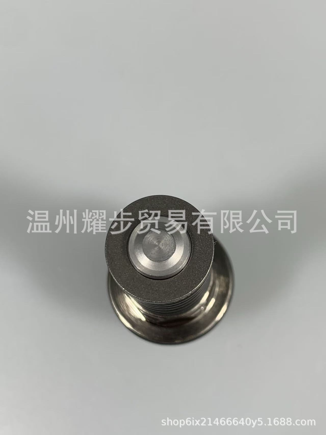 Automobile High-Pressure Fuel Pump Parts C6Ea1132.0T Spring Oil Seal Plunger Assembly 06F127025Lcx7