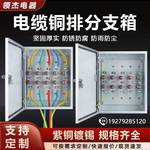 矿物质电缆分支箱铜排T接箱  低压楼层分支箱  接线端子分线箱