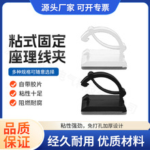 WCC-2ճN̶̶A ܇x늾A3M