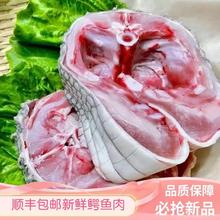 土鲜福鳄鱼肉活体新鲜现杀整只养殖暹罗鳄肉生鲜食材1斤 坏单包赔