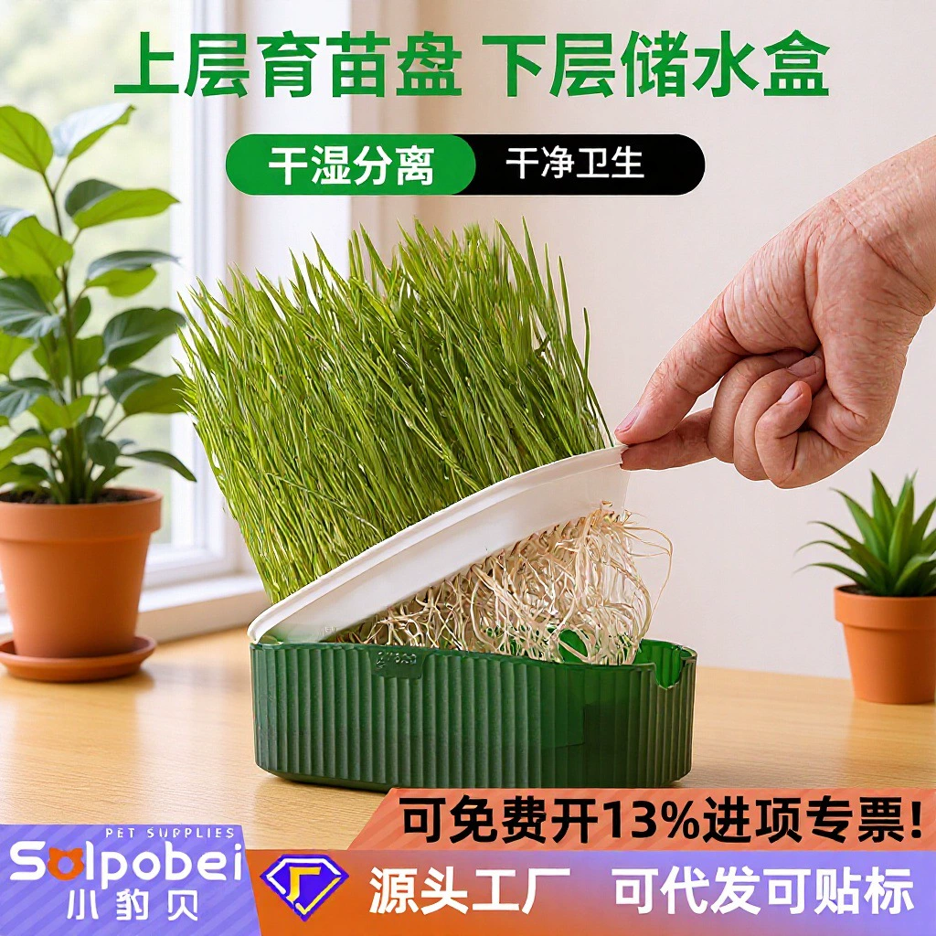 Беспочвенная гидропонная кошка Трава коробка кошка закуски ленивый питомец товары для кошек семена пшеницы кошка Трава в горшках оптом