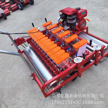 ���[���˲��N�C ��S�Y����{�c���C ����j�˾����C