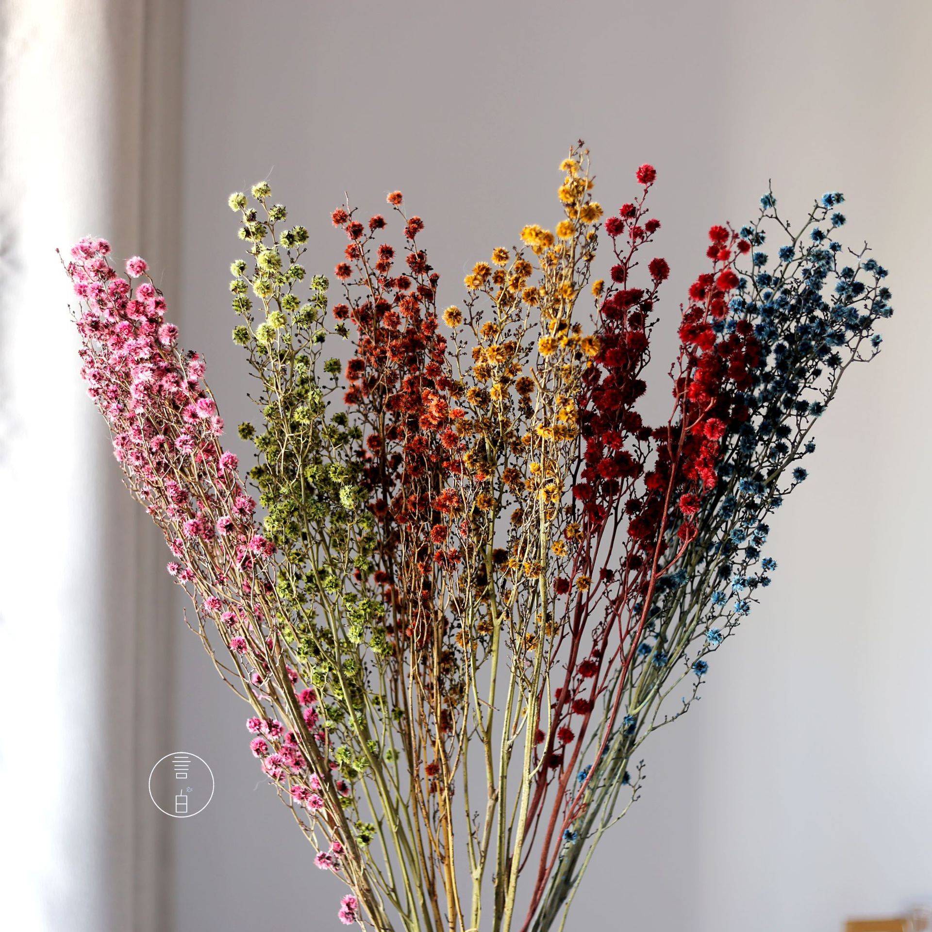 永生虎眼干花批发小毛球绒球紫梅雪腊梅圣诞新年元宵进口花材批发