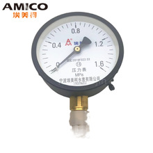 AMICO埃美柯压力表Y60水压气压耐震锅炉管道消防真空氧气仪表Y100