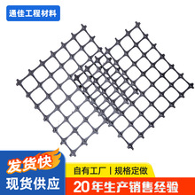 双向塑料拉伸土工格栅 路基加筋双向塑料格栅 黑色塑料土工格栅网
