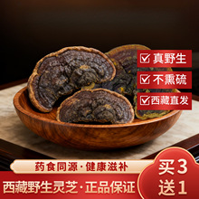 Ұ`ֱ֥lҰ`֥Ƭ׿8ϵϳ`֥