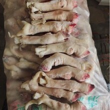 ���r����������_����50������������