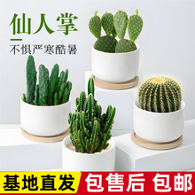 �����������҃ȿ͏d�k���ҷ�ݗ���������ֲ���ļ��Gֲ��