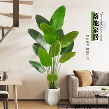 ����Gֲ�����B��ֲ�����˽��b��҃����Է����͏d�[����