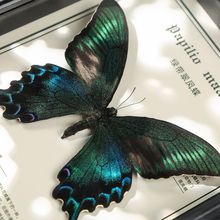 ��Ҋ�G�����P�����F���x�[���{ɫԭ�����������նY������˱����