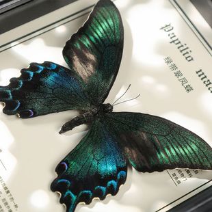 ��Ҋ�G�����P�����F���x�[���{ɫԭ�����������նY������˱����