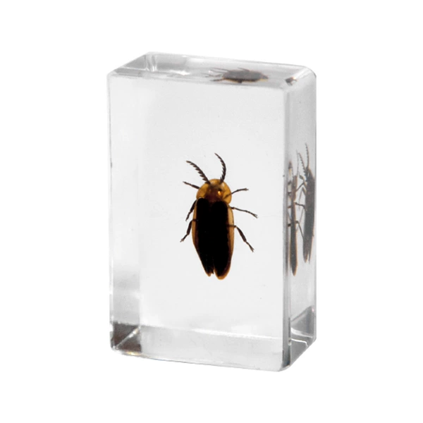 4.5CM small firefly