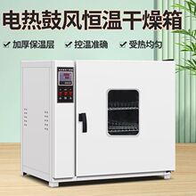 電熱恆溫鼓風干燥箱烘箱加熱烤箱工業101試實驗室高溫小型烘干機