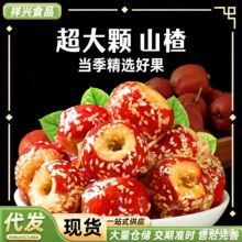 ���l����ɽ髱��Ǻ��J���w���ğo�˪������b���e��ʳС��