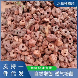 批发红色火山石水草固定种植定植环鱼缸造景简易装饰栽培水草矿物