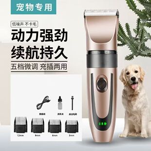 ������Ƽ���������ë��؈��̩�ϴ��ʳ�늁��R�dһ�����] �羳