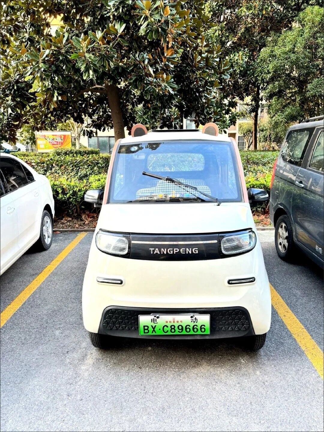 QQ图片20240618111743