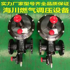 DN80燃气调压器天然气减压阀DN50调压柜调压箱窑炉稳压阀
