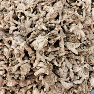 ���dș�����l������ܸ�� �����ܸ���a�؃r��