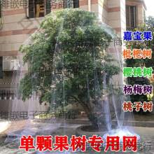 BW¿BּΌ{ݮ@oW˵̨o