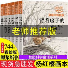 楊紅櫻系列書全套6冊小學生三四五六年級課外書科學童話故事畫本