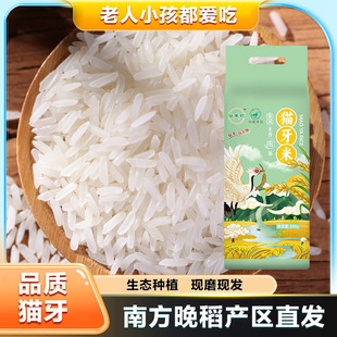 �G��ؕ���S�I؈������1���������ܛŴ�L����500g�Ϸ����|����